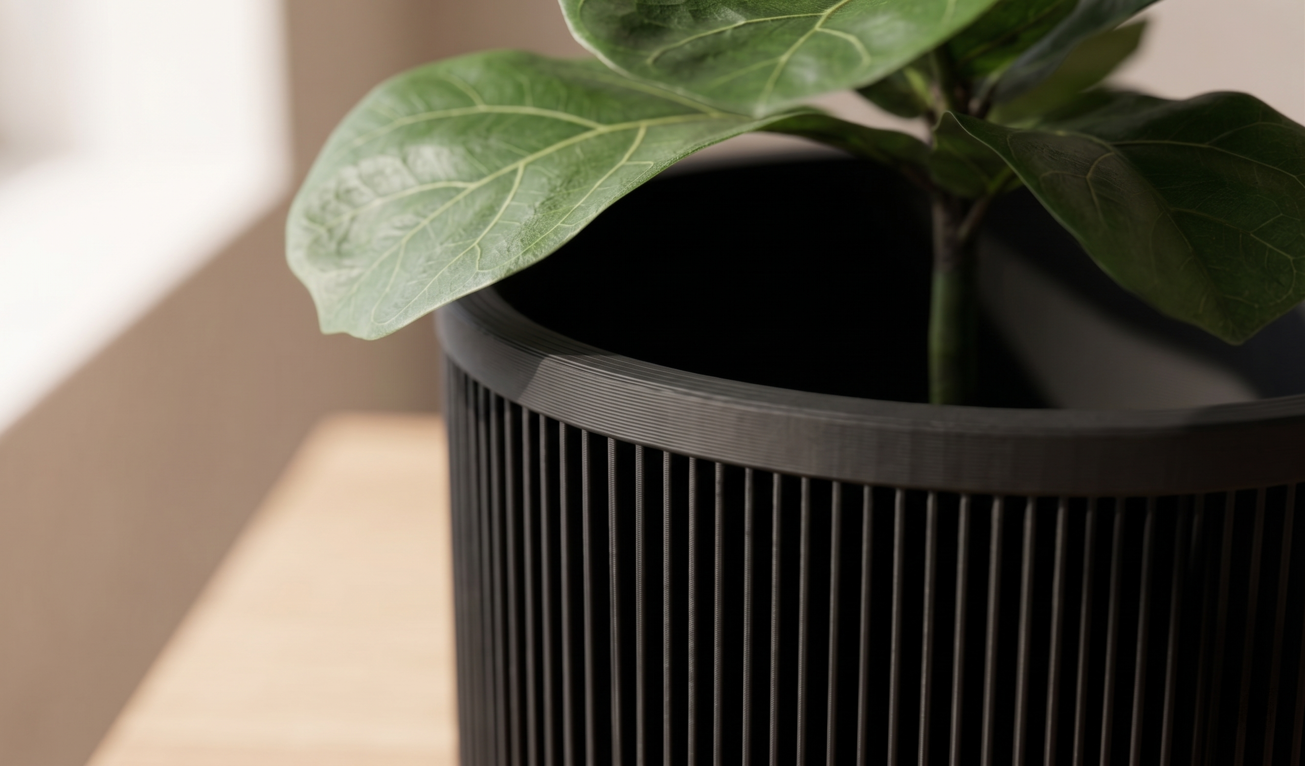 Close-up of a potted plant with a blurred background
